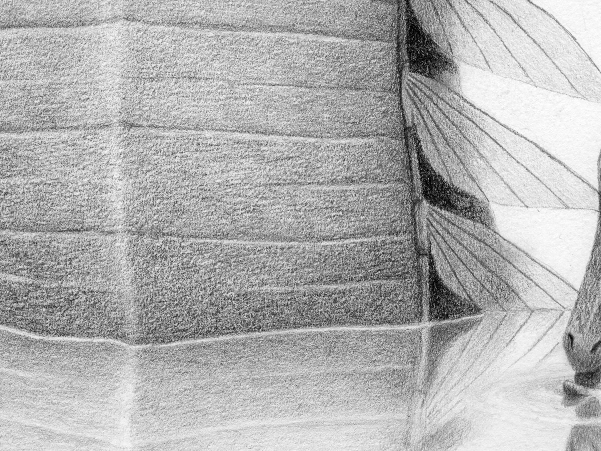 Näyttely! Exhibition!